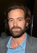 Romain Duris (2014)