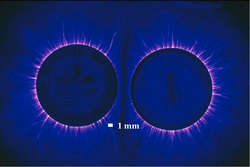 Fotografia Kirlian di due monete.