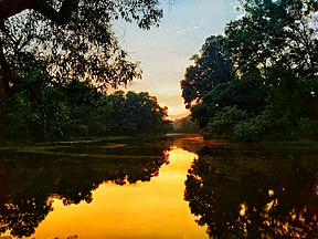 Sonnenuntergang im Park