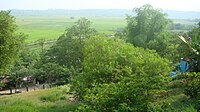 View of San Juan Baño plantations