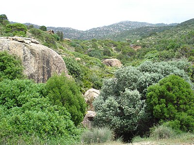 Paisatge del Djebel Korbous en el Cap Bon