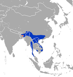 Distribución