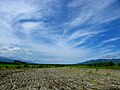 2010年8月11日 (水) 12:55時点における版のサムネイル