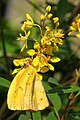 Monsanto Insectarium, St. Louis Zoo