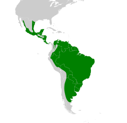 Distribución geográfica del benteveo