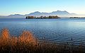 Blick über die Krautinsel Richtung Alpen