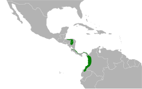 Distribución geográfica de la tangara alirrufa.