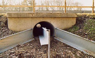 Paddentunnel