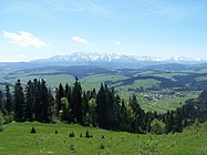 Polana Suszyna w tle Tatry