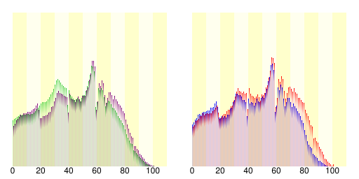 Bevolkingsdiagram