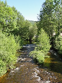 Entre Chalmazel et Saint-Georges-en-Couzan