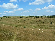 Балка, Київська область, село Сніжки