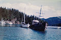 Chacon after being re floated, somewhere in Kachemak Bay.