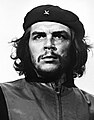 Che Guevara 1928-1967, Fidel Castro