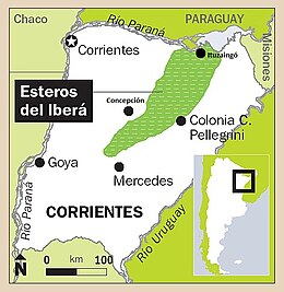 Esteros del Iberá. Nesta güelga, y n'otros menores y rellacionaos a él allugaos darréu al oriente del mesmu, asítiase la distribución reproductiva d'esti taxón (la iverniza entá ye desconocida).