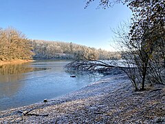 Neyetalsperre – im Winter Rastquartier für Zugvögel