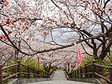 大法師公園（山梨県富士川町）