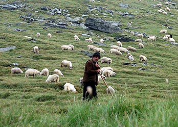 Bèrgiér dedens los monts Făgăraș en Roumania. (veré dèfenicion 2 049 × 1 467*)