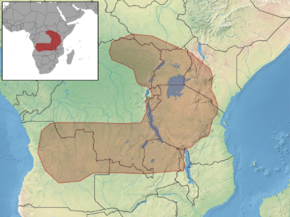 Description de l'image Zelotomys hildegardeae distribution.png.