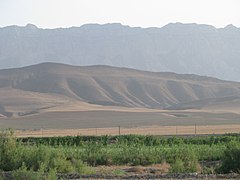 Le Kopet-Dag vu de la plaine d'Ahal.