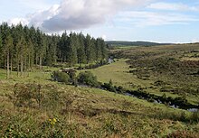 The River East Dart at Bellever looking upstream. Forestry Commission land on the left, open moorland on the right