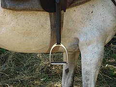 Étriers, attachés à la selle par des étrivières