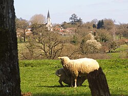 Skyline of Luchapt