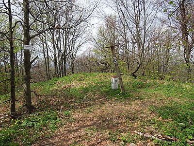 Верх Чернины (929 м), зачаток Буковскых Верхов и Восточных Карпат