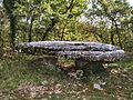 Dolmen no 1 de Marcigaliet