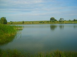 Jezioro Proboszczowskie-järvi Zakrzewo