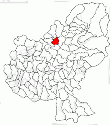 Location in Mureș County