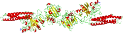 Fibrinogen