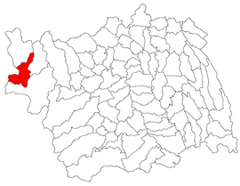 Location in Bacău County