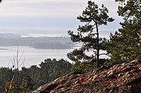 A Floresta de Kolmården separa a Södermanland da Östergötland