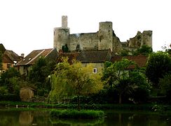 Vue du château de Billy en 2005