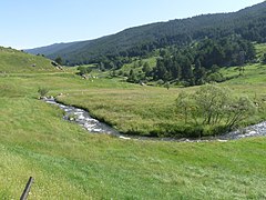 L'Aude à Matemale.