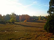 Natuurgebied Lemelerberg