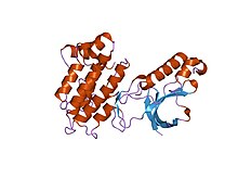 PDB 1r1w EBI.jpg