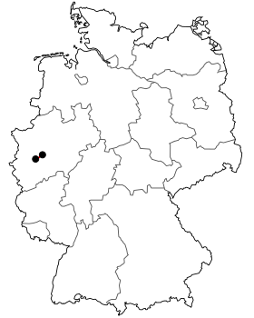 Image illustrative de l’article Bundesstraße 228