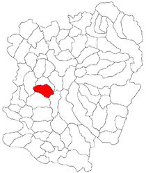 Location in Caraș-Severin County