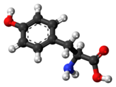 ▵ Molecuulmodel van L-tyrosine