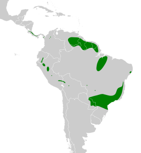 Distribución geográfica del picoagudo.