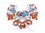 1m63​: Kristalna struktura kalcineurin-ciklofilin-ciklosporina