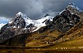 Image 28Herds of alpacas near Ausangate mountain (from Andes)