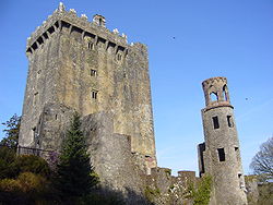 布拉尼城堡（英語：Blarney Castle）