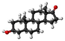 Ball-and-stick model of the epiandrosterone molecule