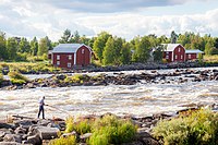 Kukkolankosken kalakenttä Torniossa