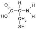 Cystein (Cys / C)