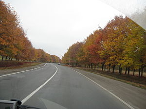 La M12 dans l’oblast de Vinnytsia.