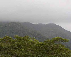 Monti Maya in un giorno di nebbia